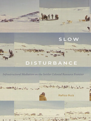 cover image of Slow Disturbance